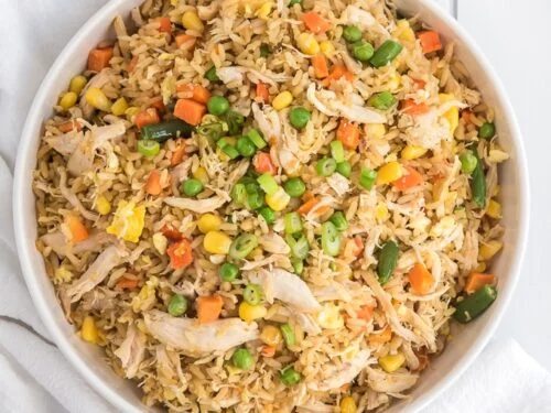 20260324114532-1774352732055easy-chicken-fried-rice-recipe24545-500x375.webp